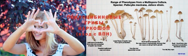mdpv Баксан