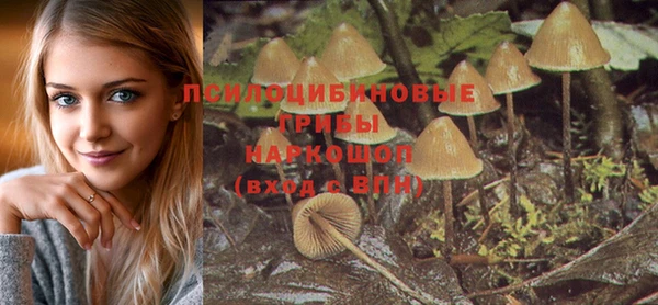 дживик Балахна