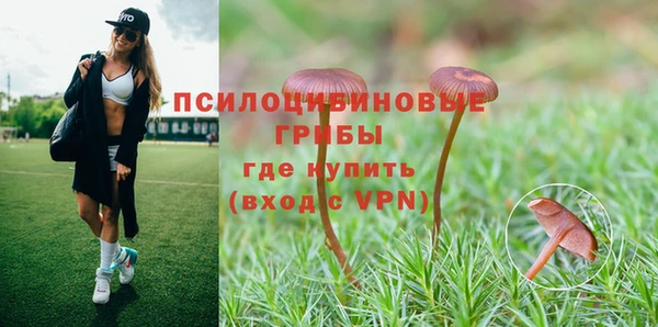 дживик Балахна