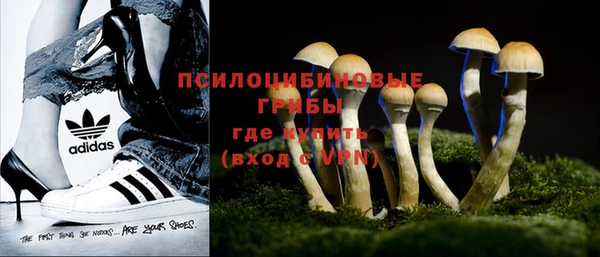 mdpv Баксан