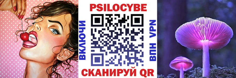 Галлюциногенные грибы Psilocybe  Серафимович 